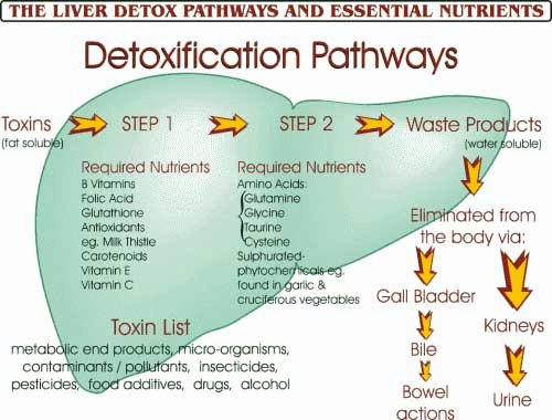 http://www.shippingdetail.com/ebay/BiogrowLivDeytox60cap/biogrow-liv-deytox60cap-2.jpg